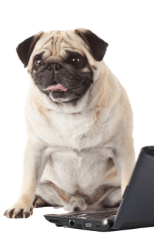 Chance 1 chief happiness officer