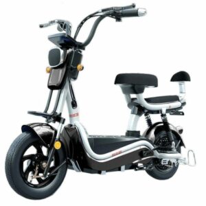 2 Wheel Electric Bicycle.jpg