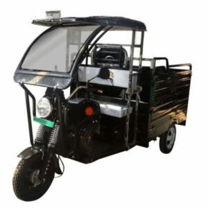 E Rickshaw Loader 3000 cleanup.jpg