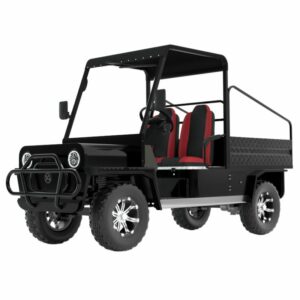 Golf Cart 300.jpg